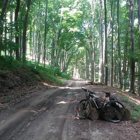 Evita Vendeghaz Apartament