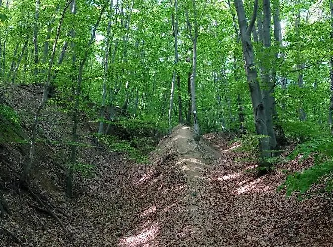 Apartament Evita Vendeghaz