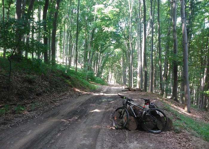 Evita Vendeghaz Apartament